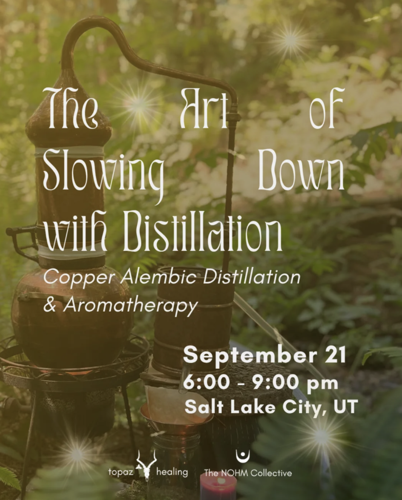 The Art of Slowing Down with Distillation